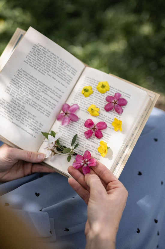3. Plants / flowers