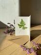 Greeting card with pressed fern