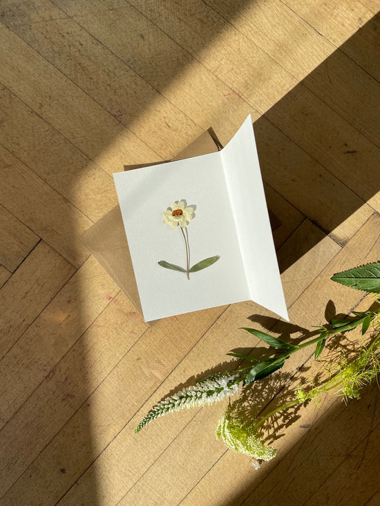 Greeting card with pressed anemone